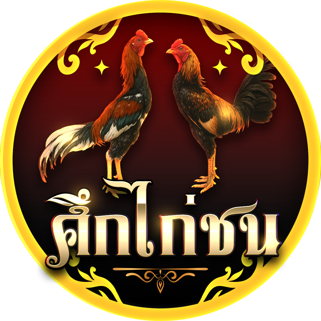 ศึกไก่ชน NEW