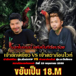 นอกในตอนนี้ ขยับเป็น18M เจ้ายักษ์เขียว ซุ้ม.เด็กบ่อVIP 🆚 เจ้าดราก้อนไวท์ ซุ้ม.ตะวันสีทอง  สนามไก่ทองอินเตอร์ วันที่่ 23 พฤษภาคม 2569