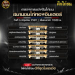 ตารางการแข่งขันไก่ชน (สนามชนไก่ทองอินเตอร์) เสาร์ ที่ 6 มิถุนายน 2569 (เวลา 10:00 น.)