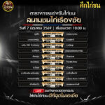 ตารางการแข่งขันไก่ชน (สนามชนไก่เรืองชัย) อาทิตย์ ที่ 7 มิถุนายน 2569 (เวลา 10:00 น.)