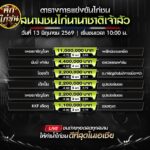 ตารางการแข่งขันไก่ชน (สนามชนนานาชาติเจ้าสัว) เสาร์ ที่ 13 มิถุนายน 2569 (เวลา 10:00 น.)